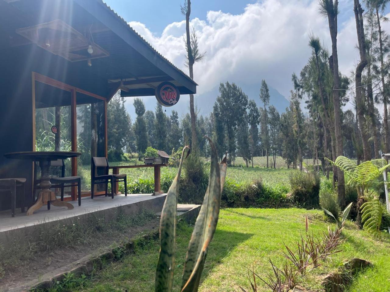 Gangga Guest House Bromo Ngadisari 外观 照片